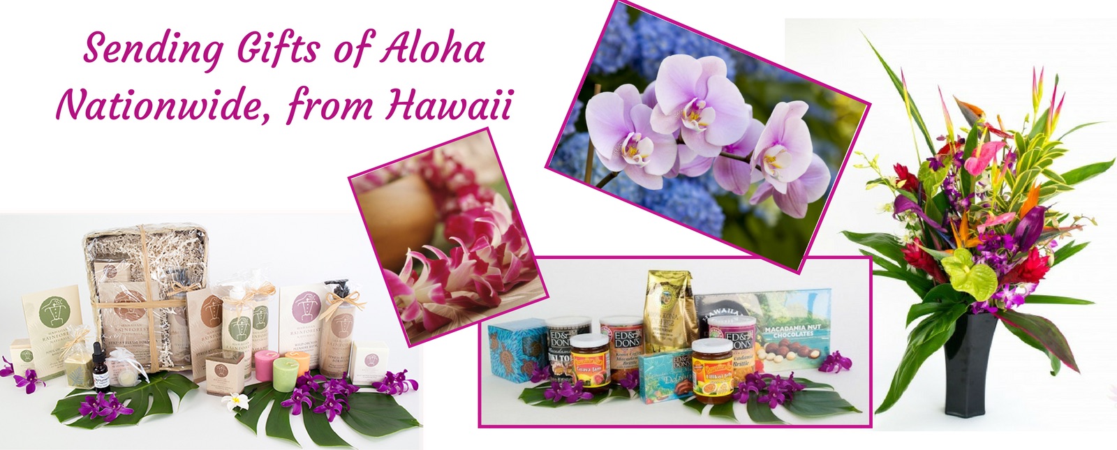 Withouraloha.com