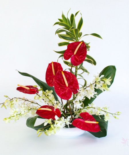 aloha love hawaiian flower assortments