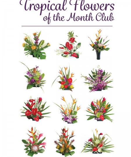 hawaiian flowers of the month with our aloha