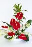 With Our Aloha - Hawaiian flowers in red and white with foliage