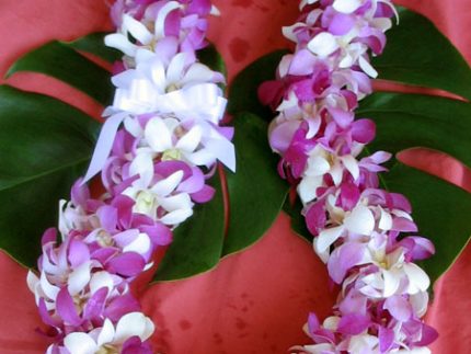 Hawaiian Flower Leis