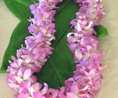 Lavender Leis