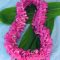 Hawaiian lei for graduation