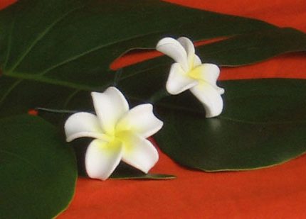 hair.pin.plumeria.flower