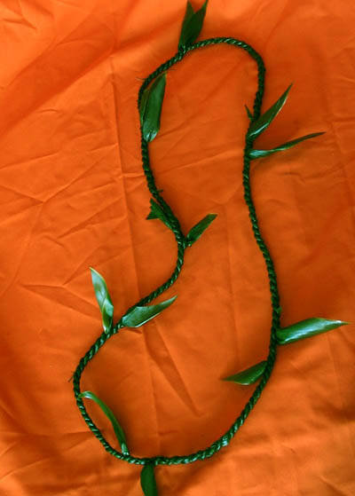 Hawaiian ti leaf lei double braided