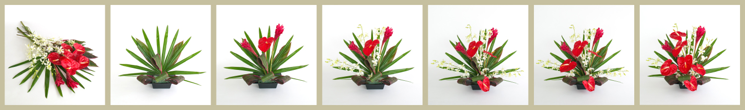 With Our Aloha - how.arrange.anthurium.ginger