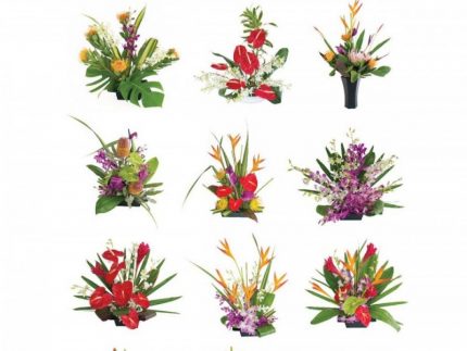 Hawaiian flowers for every month