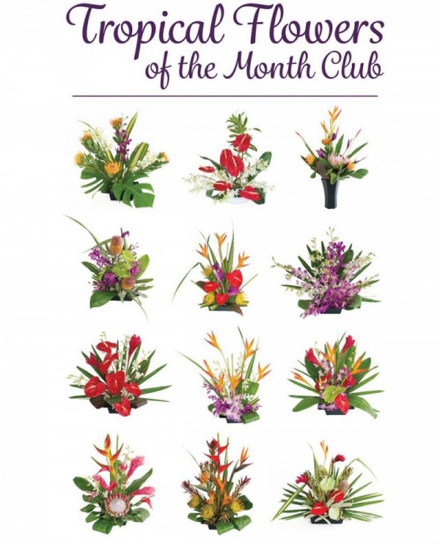 Hawaiian flowers for every month