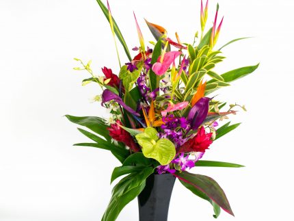 supreme tropical flower mix With Our Aloha