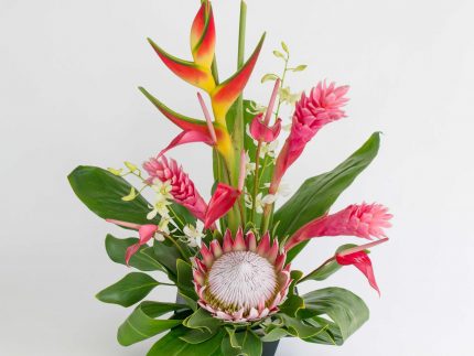 Hawaiian Flowers of the Month - Pink Hawaiian flowers with king protea
