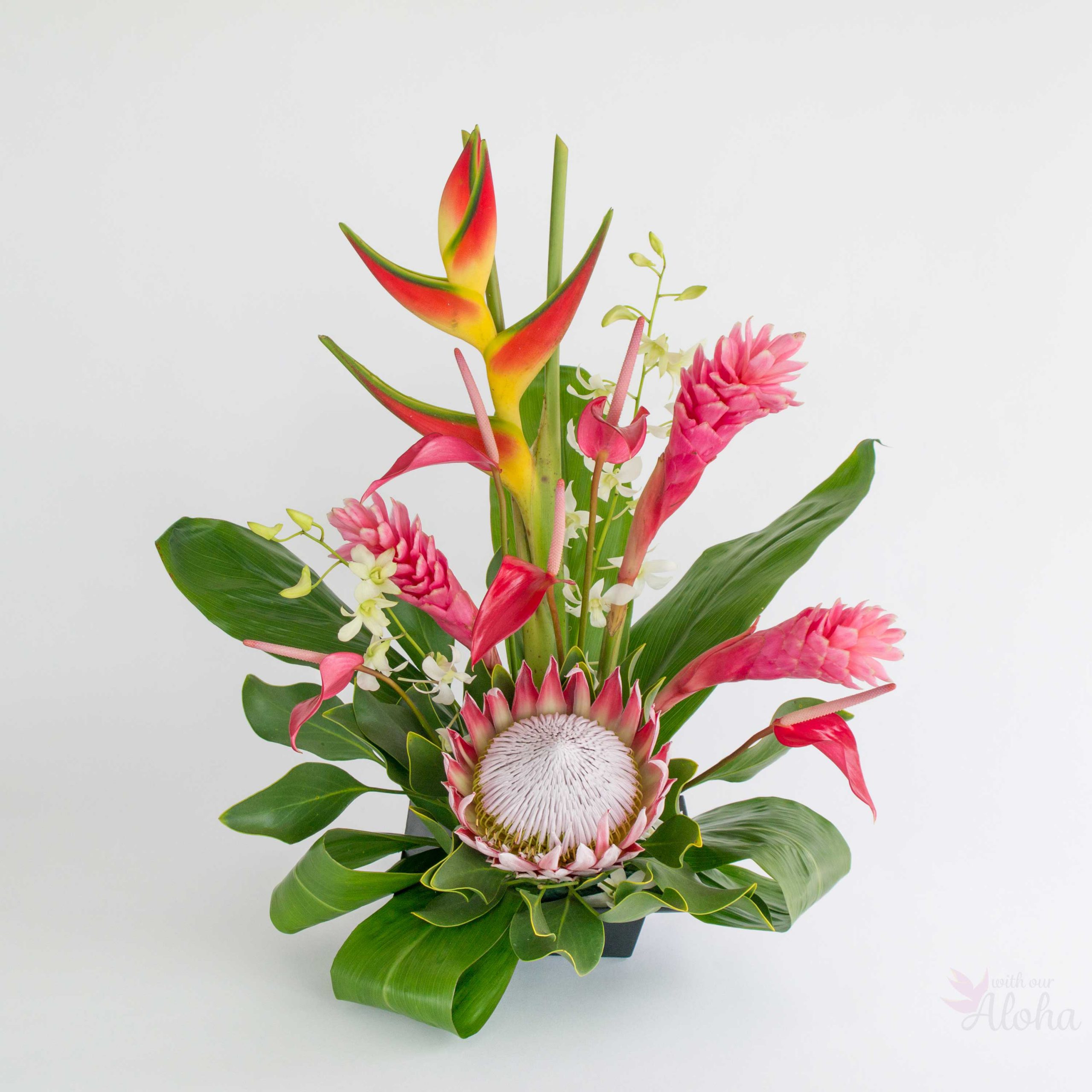 Hawaiian Flowers of the Month - Pink Hawaiian flowers with king protea