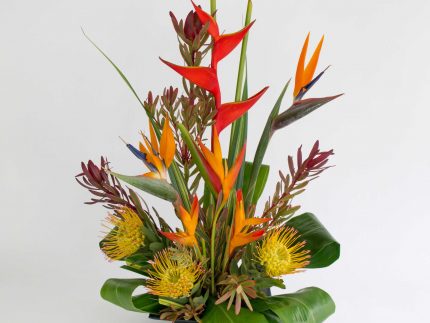 tropical assortment flowers