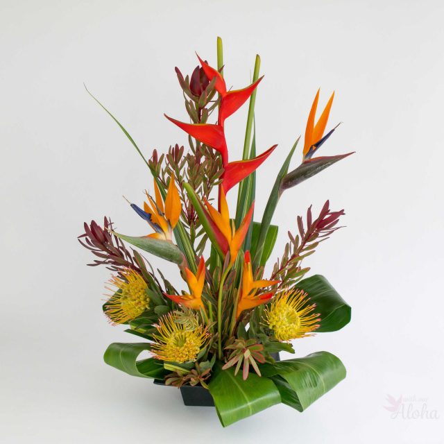 tropical assortment flowers