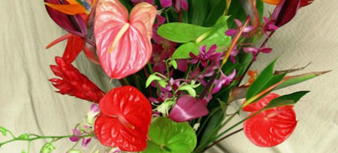 Hawaiian Flower Assortments </br> Our flower assortments are unlike any found online. All flowers are grown locally in Hawaii, and evoke authentic Aloha with every stem. There are a wide variety of arrangements to choose from, and the Topical Supreme 26 stem arrangement is currently on sale for $89 and is our best seller. It includes all of your favorite Hawaiian flowers, and you can make one large arrangement, or several small ones.