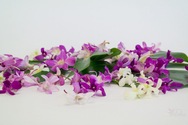 Loose Orchid Blossoms Lots of 100 With Our Aloha