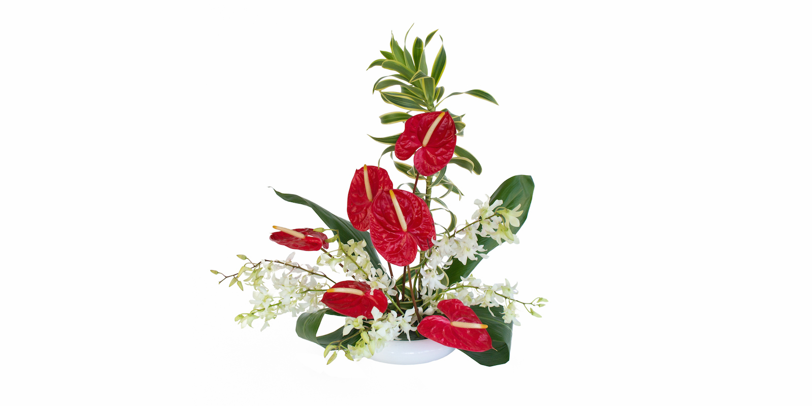 Valentine flowers anthurium and orchds