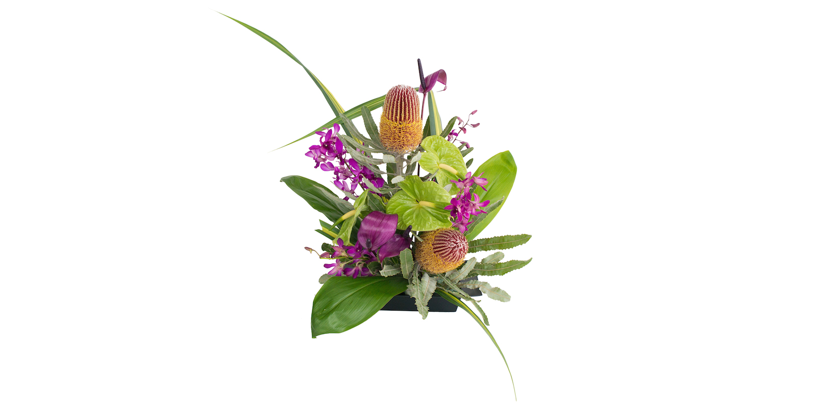 tropical flowers and protea purple and green