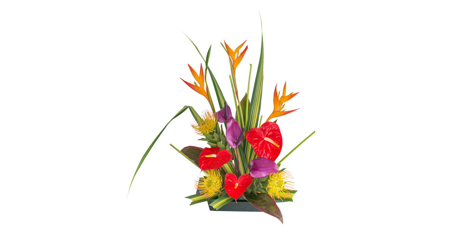 tropical flowers for Mother's Day