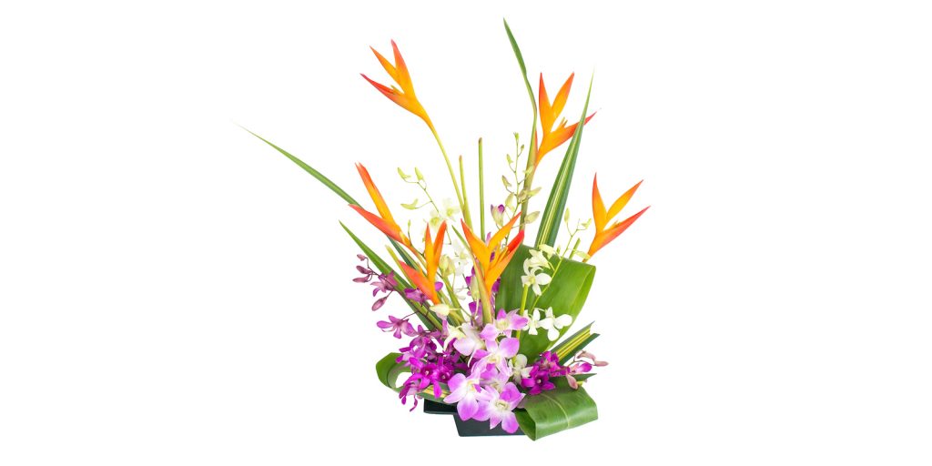 Heliconia and orchids