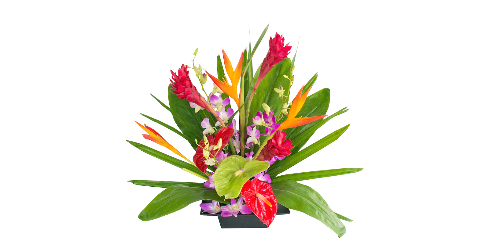 friendship flowers from Hawaii