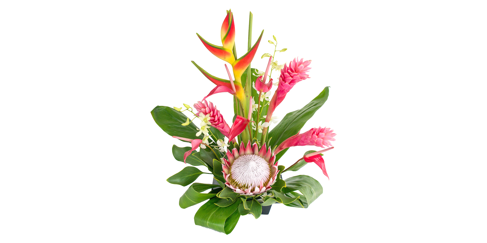 flowers pink ginger heliconia and orchids with king protea