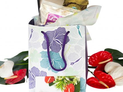 Hawaiian Gift bag hibiscus print
