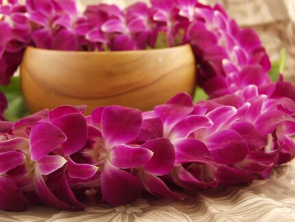 triple lei purple orchid