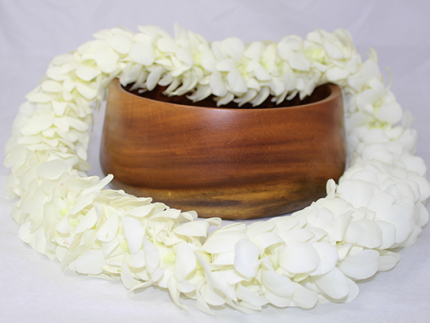 White Hawaiian flower lei