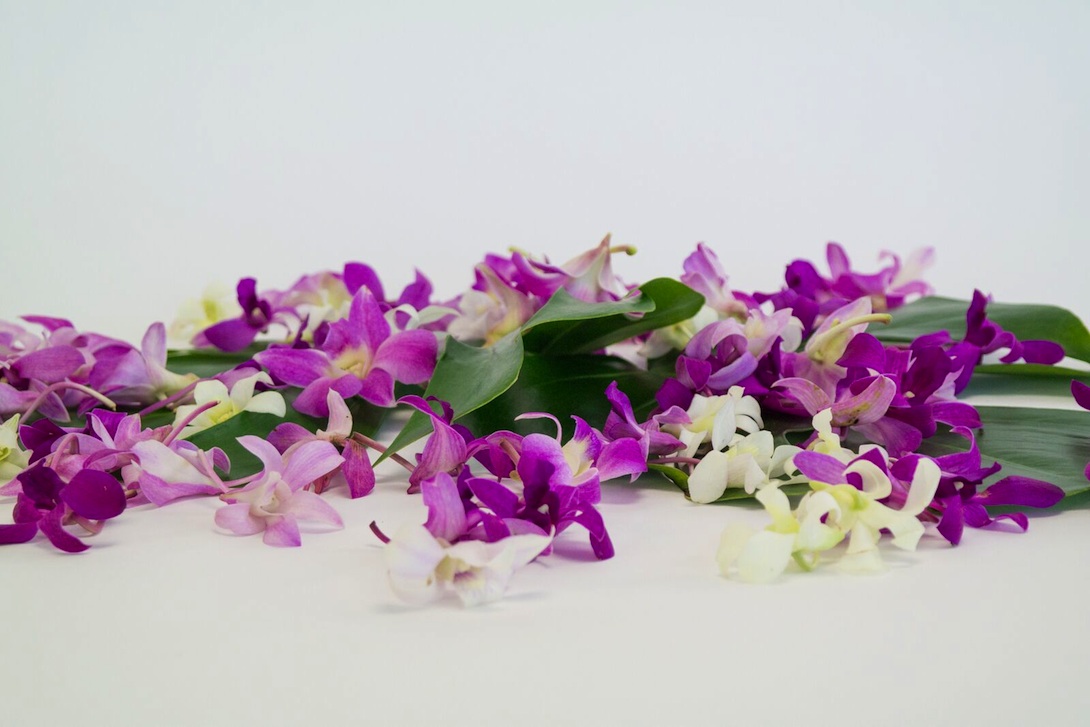 loose orchid blooms on monstera leaf