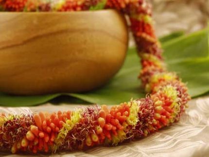 Orange Leis