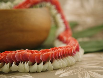 red and white Hawaiian lei Kapalua style