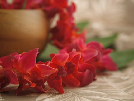 color orchid leis graduation red