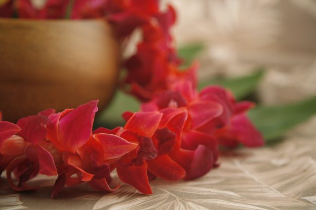 color orchid leis graduation red