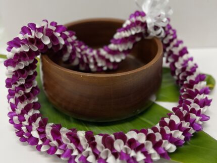 Scarlet lei spiral orchid flowers purple and white